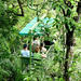 Aerial Tram Tour in Gamboa