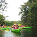 Kayak Tours at Gamboa