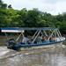 Palo Verde River Tour from Tamarindo