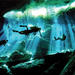 2-Tank Dive in Cenotes from Playa del Carmen