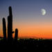 Sunset and City Lights Aerial Tour of Phoenix