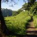 Stroll Through Rice Terraces in Ubud