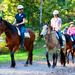 Horse Riding Tour at Glenworth Valley Outdoor Adventures