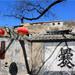 Private Day Tour of Ancient Chuandixia Village From Beijing