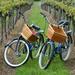 Mattituck New York Guided Farm and Vineyard Bike Tour
