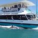 Mandurah Dolphin and Scenic Canal Cruise