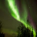 Lapland Aurora Borealis Picnic from Rovaniemi