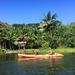 Guided Kayak Adventure on the Wailua River