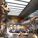 Natural History Museum of Los Angeles County Museum Admission