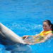 Swim with Dolphins for 15 Minutes in Sharm el Sheikh