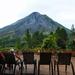 Afternoon Tour to Arenal National Park