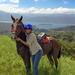 Horseback Riding Tour at  Mistico Hanging Bridges Park