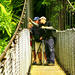 Mistico Park Hanging Bridges Guided Tour