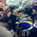 Private Tour: Hidden Lisbon with Oceanário de Lisboa