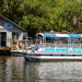 Personal Scallop Picking Party - Private 10 Passenger Vessel from Homosassa