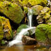 Manoa Waterfall Small Group Adventure