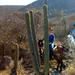 Oaxaca Discovery Overnight Horseback Riding Adventure