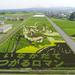 Half-Day Tour in Aomori: Inakadate Village Rice Paddy Art and Japanese Swords Experience