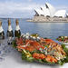 Seafood Buffet Lunch Cruise on Sydney Harbour