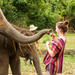 Half-Day Morning Visit to Elephant Jungle Sanctuary in Chiang Mai
