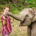 Half-Day Morning Visit to Elephant Jungle Sanctuary in Phuket