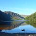 Wicklow Mountains Glendalough and Kilkenny Day Tour from Dublin