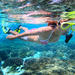 Snorkel Tour in Puerto Morelos from Cancun