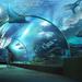 SEA LIFE Bangkok Ocean World Admission with Private Transfer