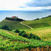 Cantabrian Coast Wine Tour from San Sebastian 