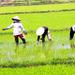 Authentic Mekong Private Day Tour