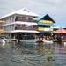 5-Day Tour to Bocas del Toro from Panama City