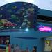 Cancun Interactive Aquarium Admission Ticket
