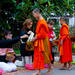 Half-Day Luang Prabang Colonial Architecture Walking Tour