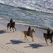 Horseback Riding Tour from Punta Cana