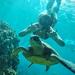 West Maui Snorkeling Adventure
