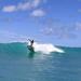 East Side of Oahu Surfing Tour