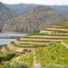 Douro Valley Luxury Tour