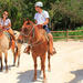 Horseback Riding Tour with Cenote Visit 