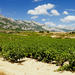 Vitoria and the Rioja Wine Region