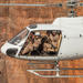 Shooting and Doors-off Helicopter Tour from Las Vegas with Optional ATV Tour