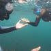 Azores Snorkeling Experience