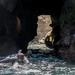 La Jolla Cave Snorkeling Tour