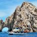 Whale Watching Cruise on the Sea of Cortez