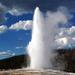 Yellowstone National Park Full-Day Guided Tour