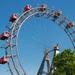 Vienna's Schonbrunn Zoo and Giant Ferris Wheel
