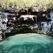 Los 7 Cenotes Private Adventure Tour from Merida
