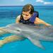 Dolphin Cove Adventures from Montego Bay