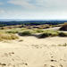 Private Tour: Curonian Spit National Park Day Trip from Vilnius