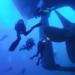 Fun Diving at Amorgos Diving Center