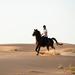 Horseback riding in Dubai Desert